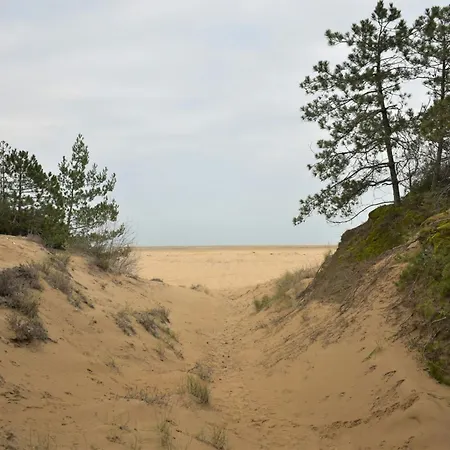 Delightful Lateral Sea View Flat Apartment Lignano Sabbiadoro